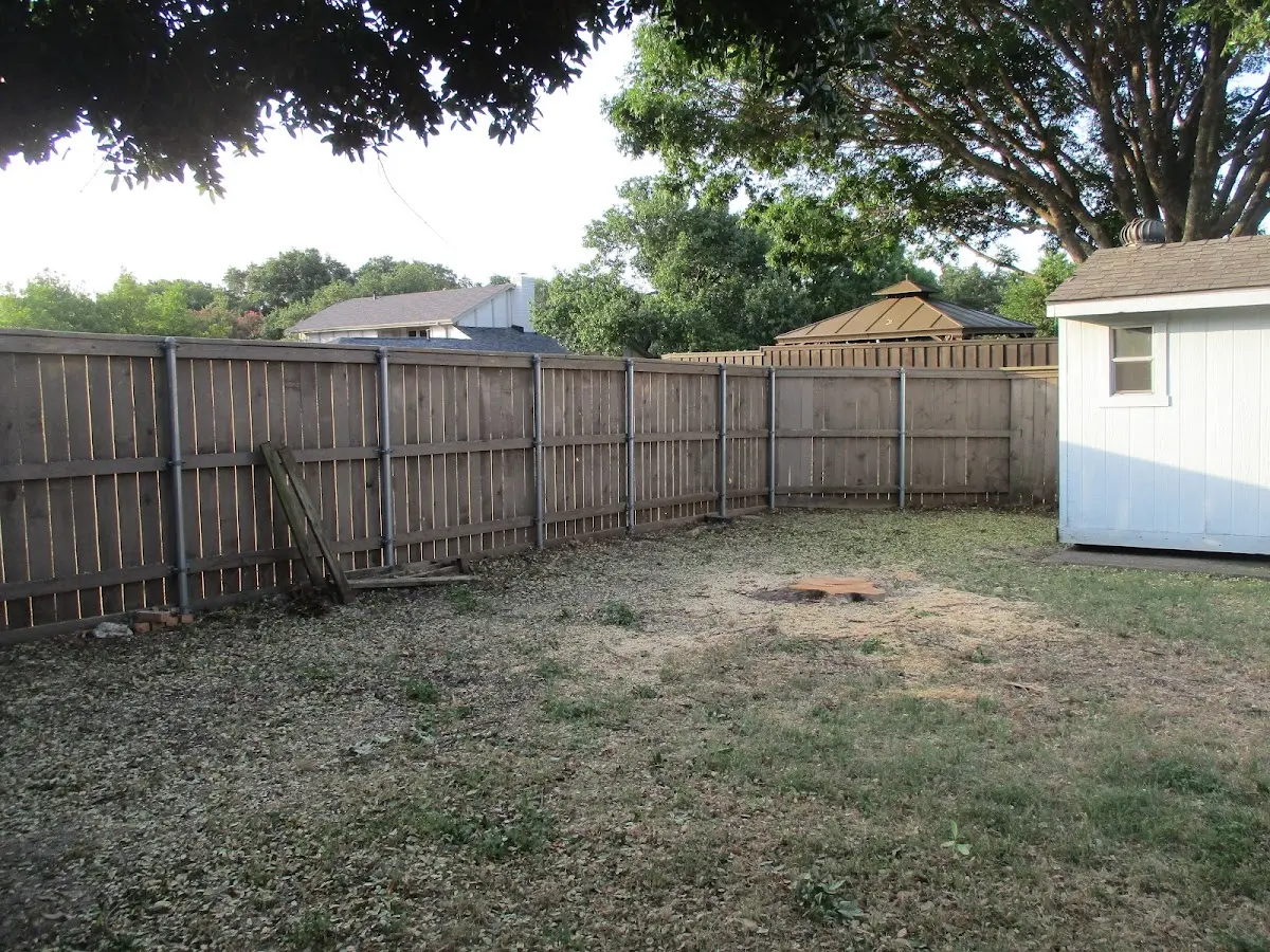 Cleared yard after professional tree removal in Stockton